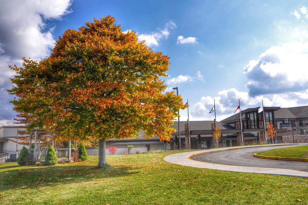 Canaan Valley Resort State Park Davis Exterior foto