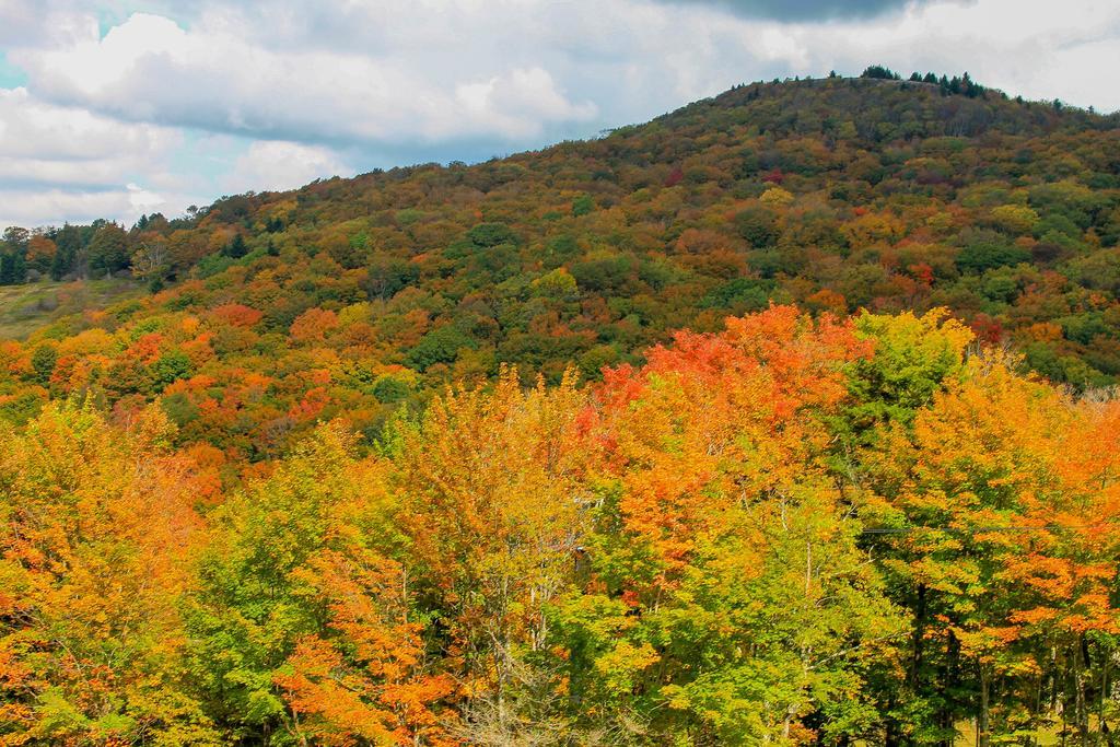 Canaan Valley Resort State Park Davis Exterior foto